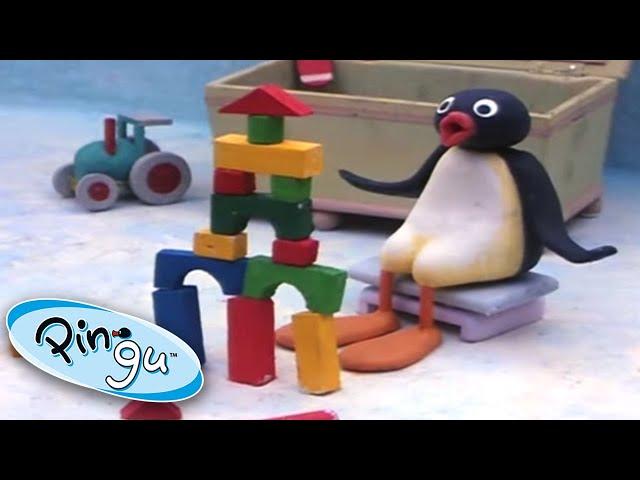 Playtime with Pingu | Pingu Official | Cartoons for Kids