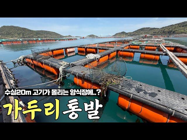 매일 30t 밥 주는 양식장에 김치 미끼로 통발을 던지면..!? 초대박! 역대급 최고 미끼네요!!