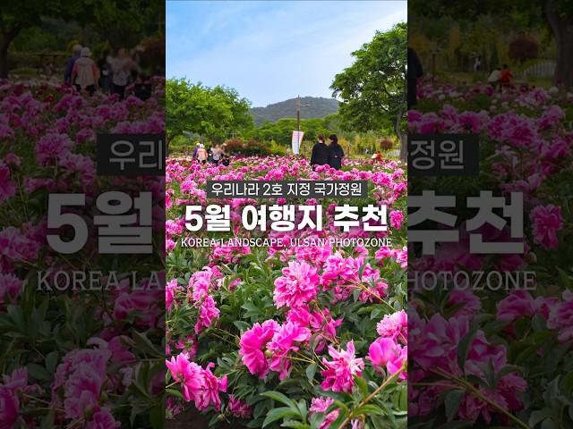5월에 떠나야 할 환상적인 여행지 추천!
