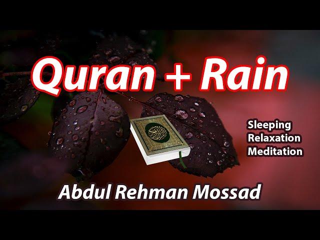 Quran + Rain = Peaceful Recitation || Beautiful Quran Soothing Recitation by Abdul Rahman Mossad