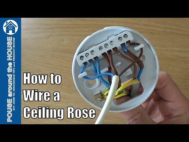 How to wire a ceiling rose - lighting circuits explained. Ceiling rose pendant install!