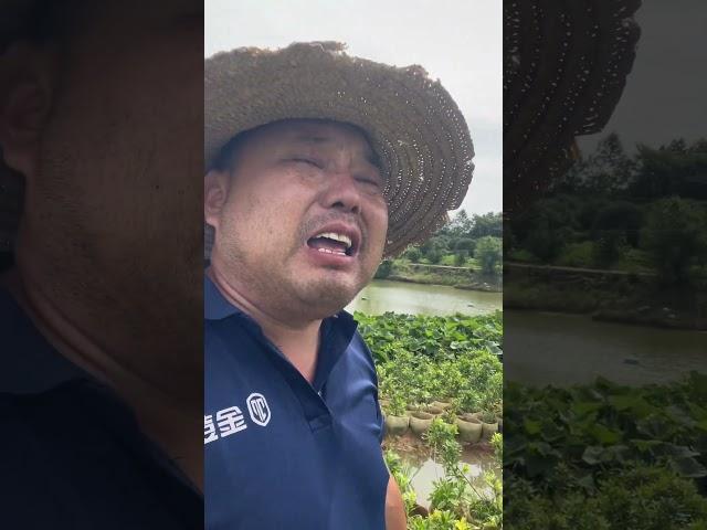 我到底是哪里做错了！我改！我也要抽弯九弯楼，我也要坐茶馆！我十分想念68号小妹！#农村生活 #情感共鸣 #社会百态 #情感 #搞笑 DOU+小助手