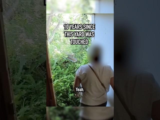 What happens when you leave a yard to grow for 10 years 