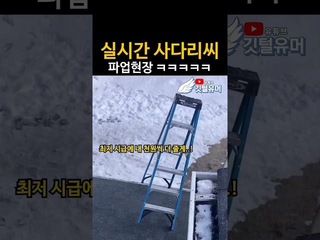 갑자기 사씨는 왜 팀에서 나간거래..? ㅋㅋㅋㅋㅋㅋㅋ