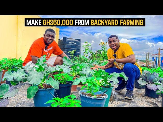 How To Make GHS 60,000($5025.13) Growing Habaneros As A Beginner in Ghana in 2023 #pepper #habaneros