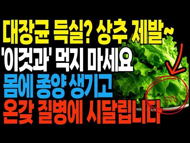 [아프기 싫다면] 상추 제발 "이것과" 먹지 마세요! 내 몸에 독을 쌓고 있는 겁니다! 상추와 상극인 식품 3가지!