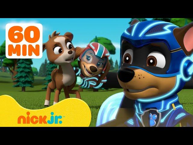 PAW Patrol Mighty Pups Ultimate Animal Rescues! w/ Chase & Liberty | 1 Hour Compilation | Nick Jr.