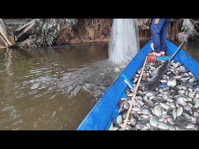 MENJALA KAWANAN IKAN SAPIL BERSAMA Fayz Fishing Adventure