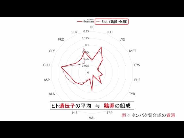 ヒト遺伝子に最も近い食品は何か？ （4K テストアップロード）