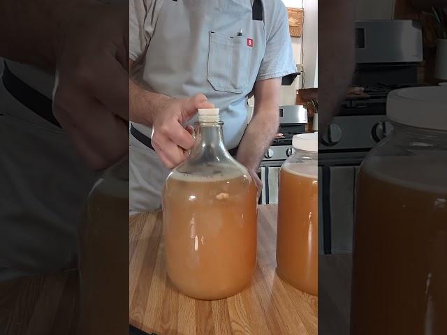 Feeding my mead yeast #mead #meadmaking