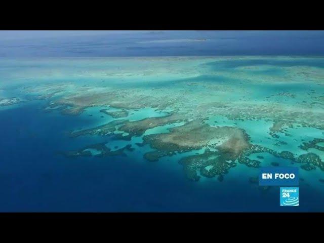 La Gran Barrera de Coral se está muriendo, una consecuencia del calentamiento global