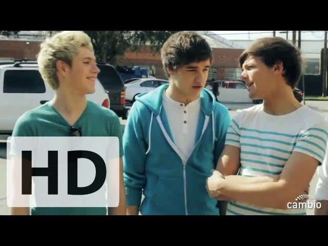 One Direction Guys Reveal Their Dream Valentines! | Cambio Interview