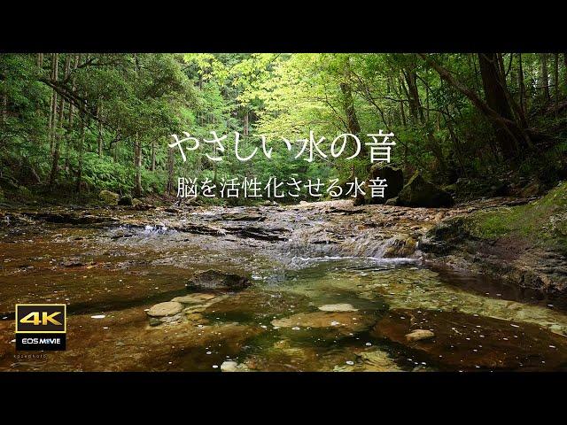 sounds ASMR / Sound of gently flowing water / Calm the mind / Improve concentration / Induce sleep