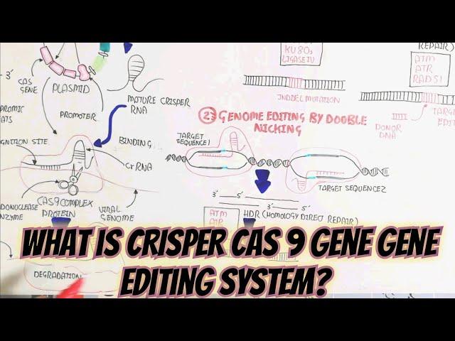 What is CRISPER CAS9,Gene Editing System? @umerfarooqbiology7083