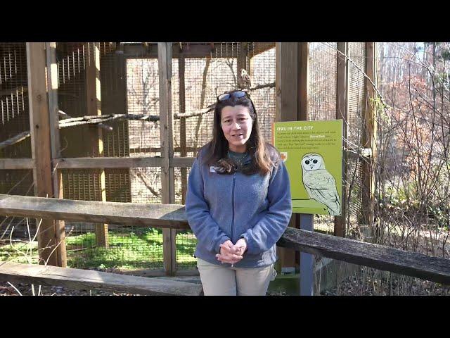 Chattahoochee Nature Center Presents the Wildlife Baby Shower