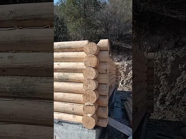 Log cabins in the mountains