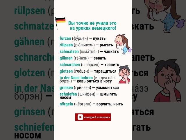Вы точно не учили эти глаголы на уроках немецкого! 