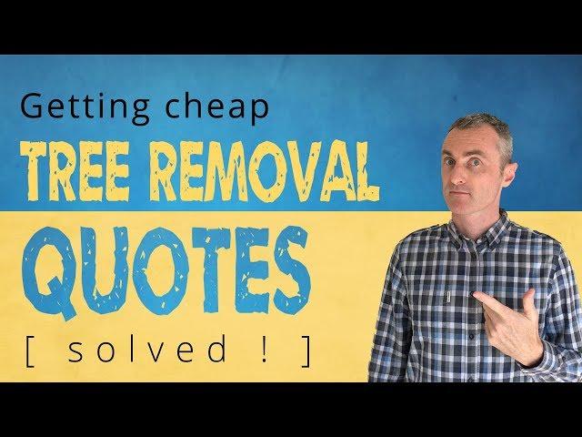 How to Get Cheaper Tree Removal Quotes