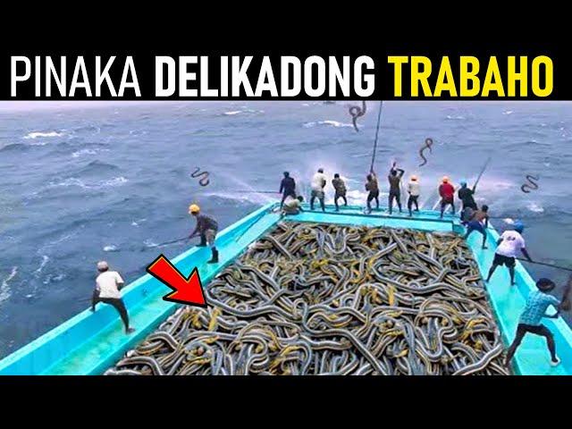 Pinaka Delikadong Trabaho Sa Buong Mundo | kwentong may kaalaman