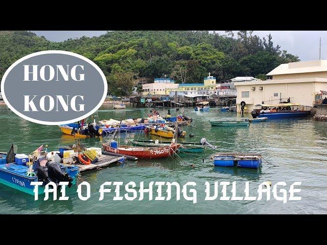 Hong Kong Tai O  Fishing Village TOUR