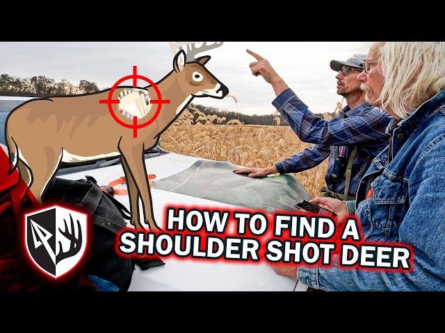 How To Find A Shoulder Shot Deer!