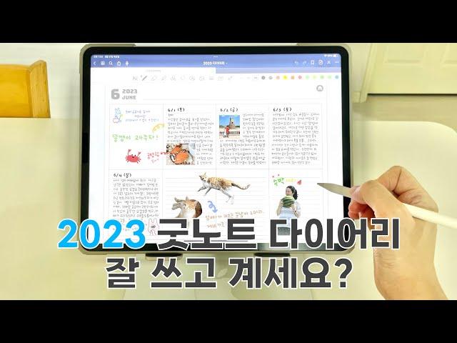 2023 굿노트 다이어리 중간 리뷰 + 2024 플래너 살짝 맛보기