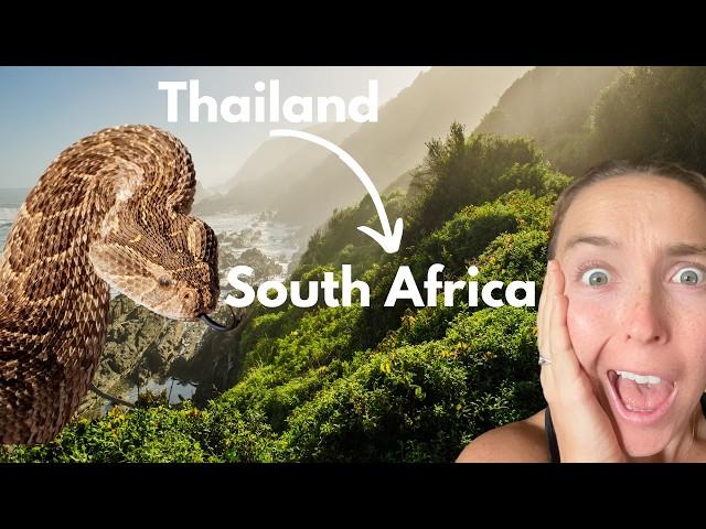 We moved from Asia to Africa + Dangerous Puff Adder Bite