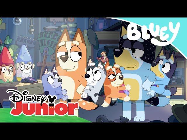 Bluey: Unas vacaciones diferentes | Disney Junior Oficial