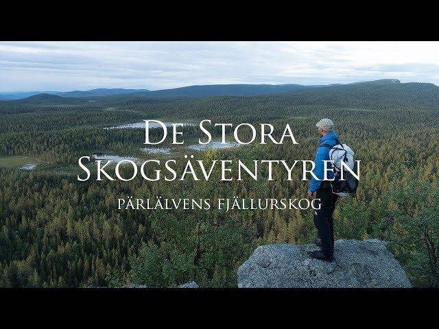 På tur genom Pärlälvens urskog