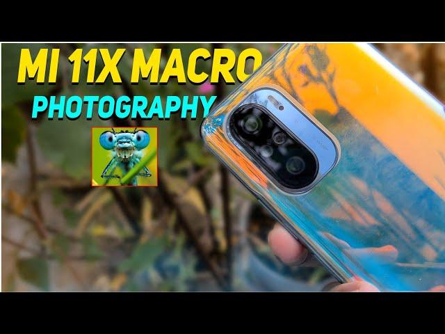 Macro Photography With Mobile || Mi 11x Macro Photography Without Macro Lens