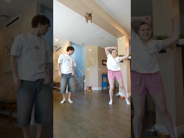 NOT THE DOG GETTING THEM #duet #trend #shortvideo #shorts #couple #dance