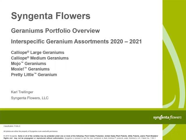 Syngenta Flowers Geranium Portfolio Overview with Karl Trellinger