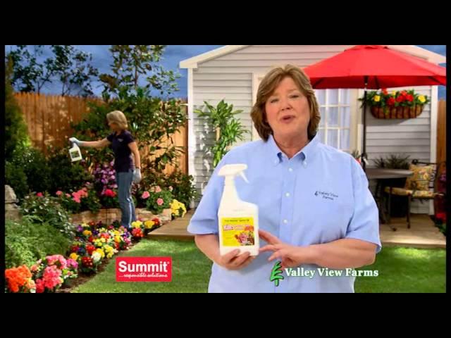 SUMMITT YEAR ROUND SPRAY OIL 223013-VVF-HD-_1