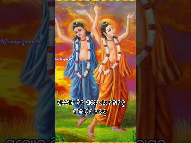Hare Krishna Mahamantra Naam sankirtan in Odia #jagannath #odia #iskcon