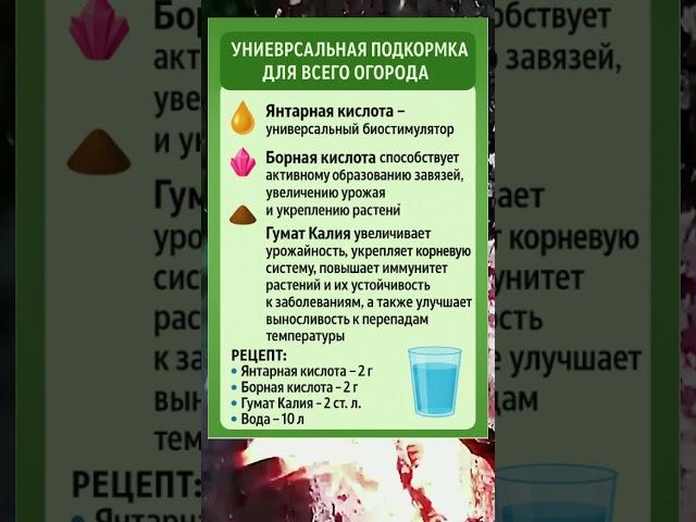Универсальная Подкормка для Всего Огорода
