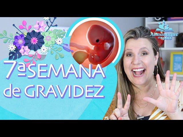 7ª SEMANA DE GESTAÇÃO | Tamanho do bebê, Corpo da Gestante, Dicas | 1º TRIMESTRE DE GRAVIDEZ