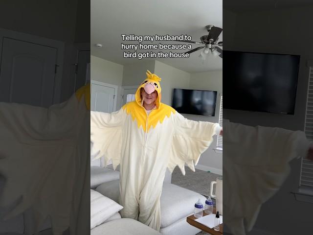 He Thought a Real Bird Was in the House!