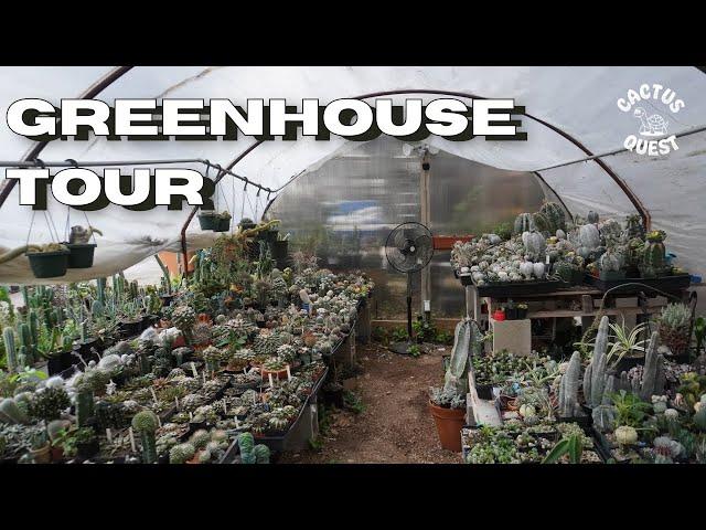 Stock greenhouses of East Austin Succulents