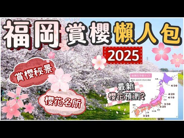 福岡賞櫻全攻略2025 | 浪漫櫻花森林 | 在地人的私房櫻花秘景 | 最新櫻花預測 | 福岡櫻花景點