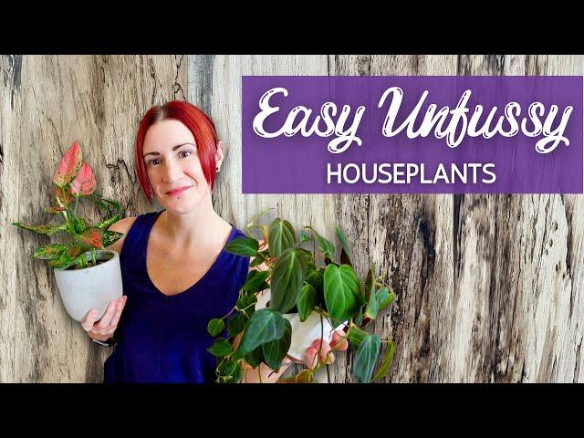 36 Unfussy Plants | Easy Houseplants | Tolerant Houseplants | Plants That Are Unfinicky