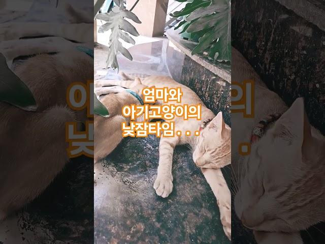 2024년 4월 30일