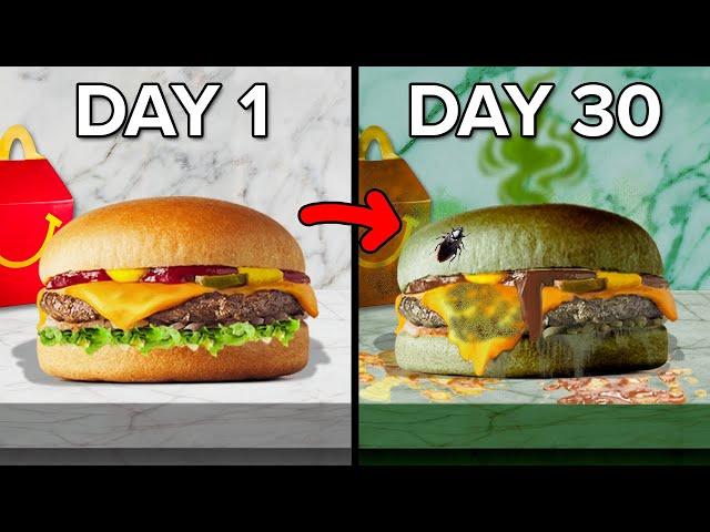 I Let Every Fast Food Burger Decompose For 30 Days