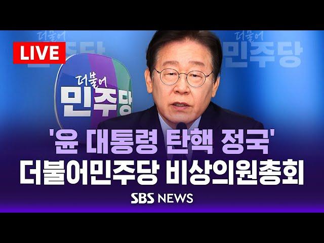 이재명 "윤 대통령, 왕 되려다 죄수의 길"..민주당 비상의원총회 / SBS