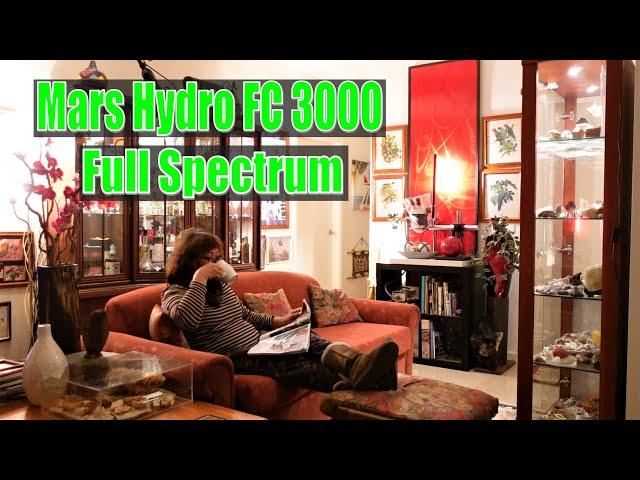 Mars Hydro FC3000 LED Grow Light & Tent Unboxing & Set-up | Growing Succulents w/ Liz Kreate