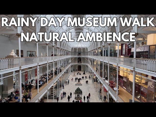 National Museum of Scotland | Rainy Day Walkthrough | Natural Ambience