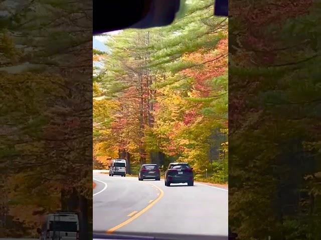 Kancamagus Highway - White Mountain National Forest | Passaconaway Road, Albany | New Hampshire, USA