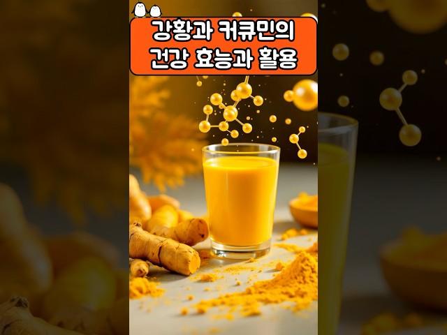 강황과 커큐민의 건강효능과 활용 #건강관리 #건강정보 #건강식품 #지식 #음식 #이슈 #꿀팁