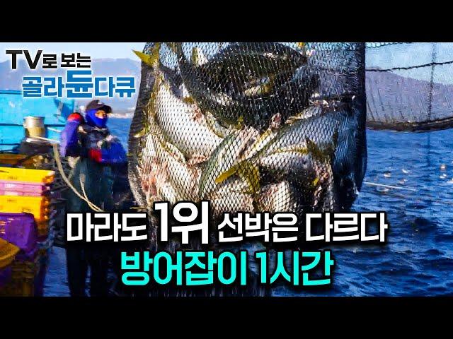 방어 추격 14시간! 마라도 방어 어획 1위 배에 탔더니 다르긴 다르다. 60년 경력 선장의 남다른 방어잡이｜한국기행｜#골라듄다큐