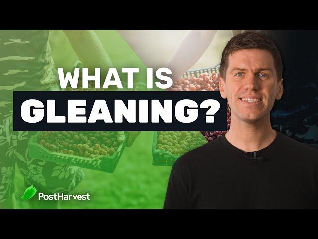 What is Gleaning?