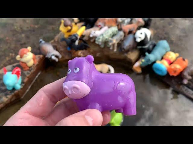 Splish-Splash Zoo Adventure: Toy Animals at the River